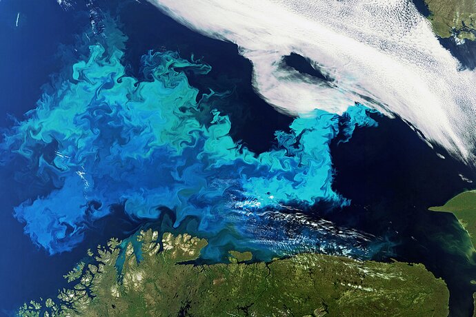 Satelit PACE na sledi fitoplanktona in aerosolov