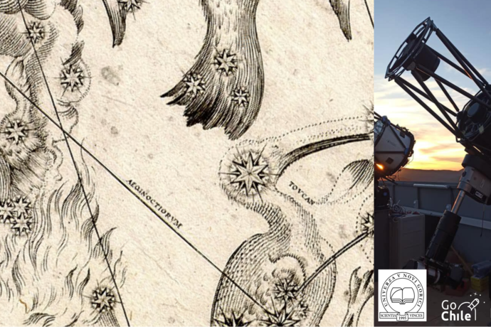 Natečaj GoChile: Zvezdnate ptice južnega neba