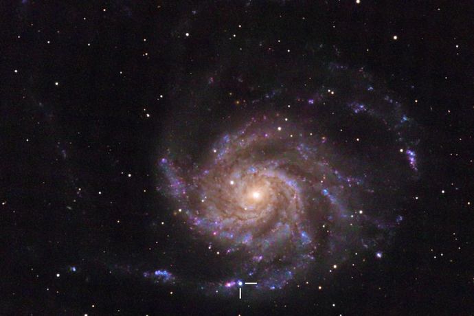 Najbližja supernova zadnjega desetletja odkrita v Vetrnici