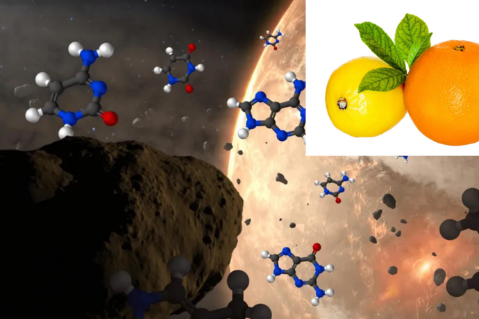 Pomaranče, limone in sestavine življenja